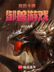 《我的卡牌御兽游戏》小说封面