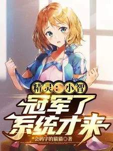 《精灵:小智,冠军了系统才来》小说封面