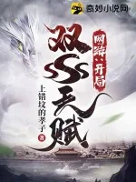 《网游：开局双SSS天赋》小说封面