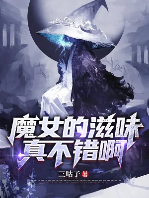 《魔女小姐请自重》小说封面