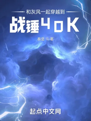 《和灰风一起穿越到战锤40K》小说封面