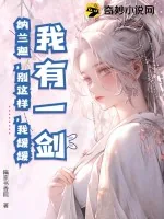 《我有一剑：纳兰迦，别这样，我缓缓》小说封面