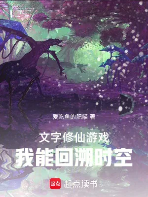 《文字修仙游戏：我能回溯时空》小说封面