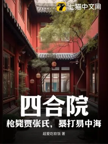 《四合院：枪毙贾张氏，暴打易中海》小说封面