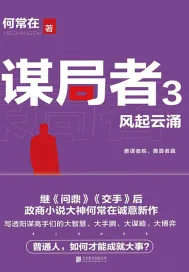 《谋局者3：风起云涌》小说封面
