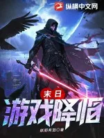《末日游戏降临》小说封面