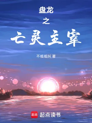 《盘龙之亡灵主宰》小说封面
