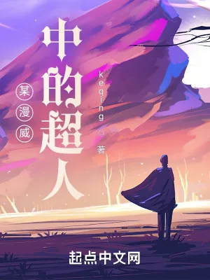 《某漫威中的超人》小说封面