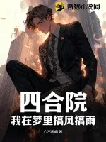 《四合院：我在梦里搞风搞雨》小说封面