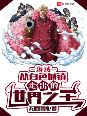 《海贼:从白色城镇走出的世界之王》小说封面
