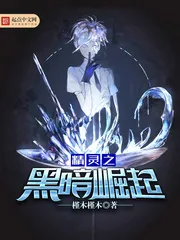 《精灵之黑暗崛起》小说封面