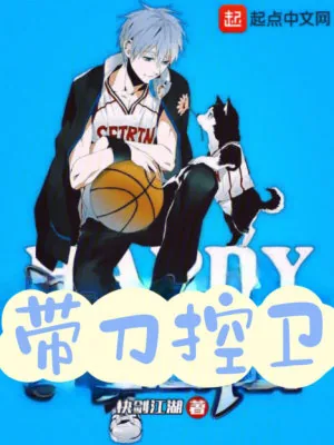 《带刀控卫》小说封面