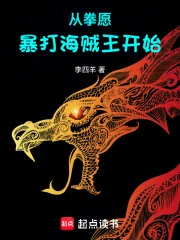 《从拳愿暴打海贼王开始》小说封面