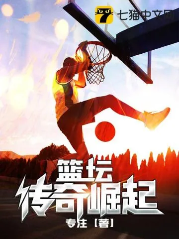 《篮坛传奇崛起》小说封面