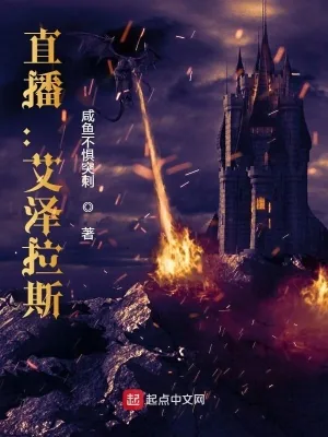 《直播：艾泽拉斯》小说封面