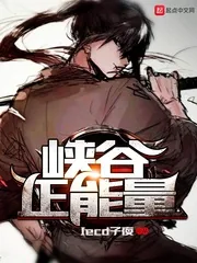 《峡谷正能量》小说封面