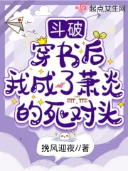 《斗破：穿书后我成了萧炎的死对头》小说封面