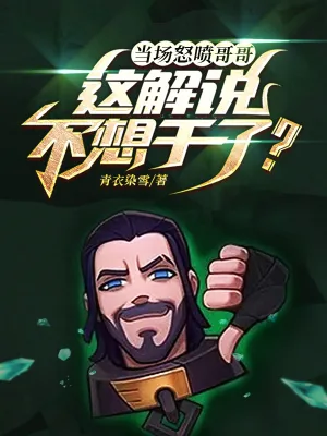 《当场怒喷哥哥，这解说不想干了？》小说封面