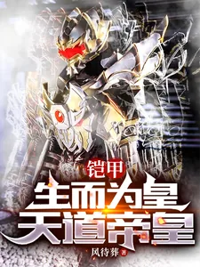 《铠甲：生而为皇，天道帝皇》小说封面