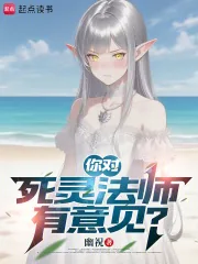 《你对死灵法师有意见？》小说封面