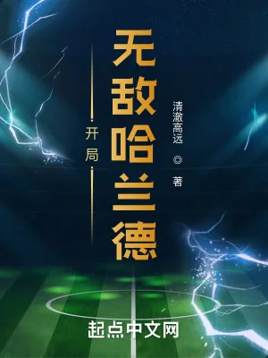 《开局无敌哈兰德》小说封面