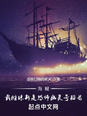 《海贼：戴维琼斯是恐怖幽灵号船长》小说封面