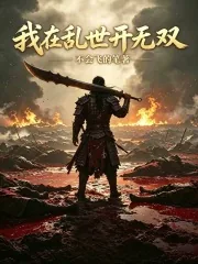 《我在乱世开无双》小说封面