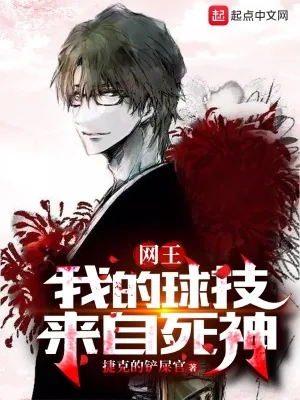 《网王：我的球技来自死神》小说封面