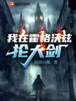 《我在霍格沃茨抡大剑》小说封面