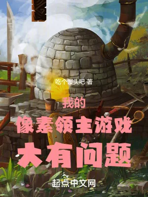 《我的像素领主游戏大有问题》小说封面