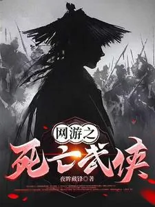 《网游之死亡武侠》小说封面