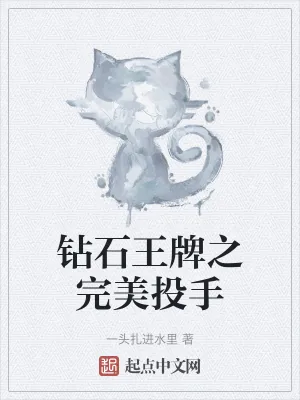《钻石王牌之完美投手》小说封面