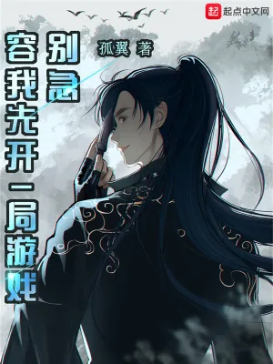 《别急,容我先开一局游戏》小说封面