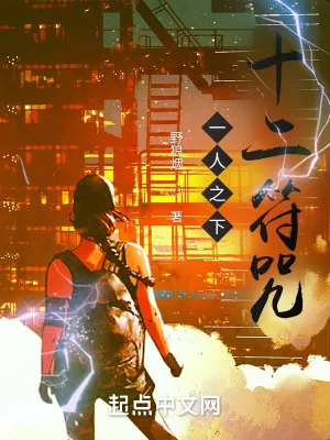 《一人之下，十二符咒》小说封面