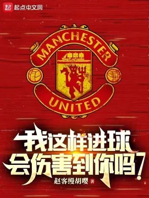 《我这样进球,会伤害到你吗?》小说封面