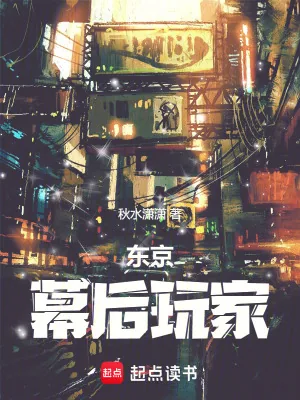 《东京：幕后玩家》小说封面