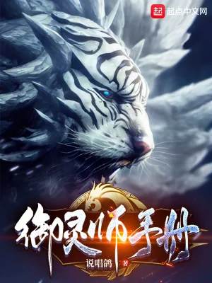 《御灵师手册》小说封面