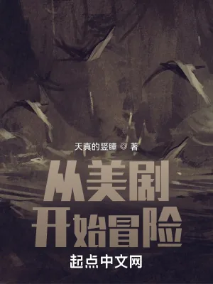 《从美剧开始冒险》小说封面