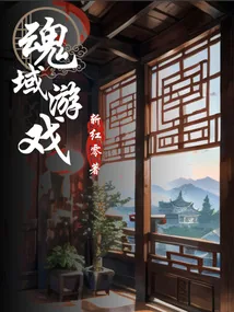 《魂域游戏》小说封面