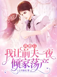 《离婚后，我让前夫一夜倾家荡产》小说封面
