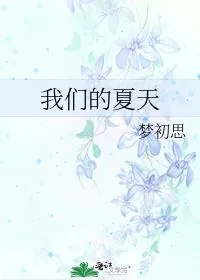 《我们的夏天》小说封面