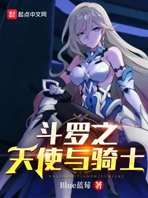 《斗罗之天使与骑士》小说封面