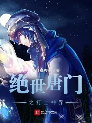 《绝世唐门之打上神界》小说封面