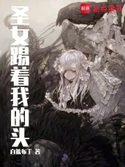 《圣女踢着我的头》小说封面