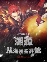《溯源从海贼王开始》小说封面