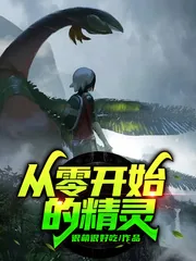 《从零开始的精灵》小说封面