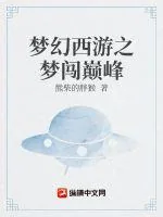 《梦幻西游之梦闯巅峰》小说封面