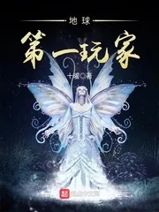 《地球第一玩家》小说封面