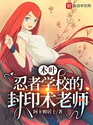 《木叶：忍者学校的封印术老师》小说封面