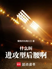 《什么叫进攻型后腰啊》小说封面